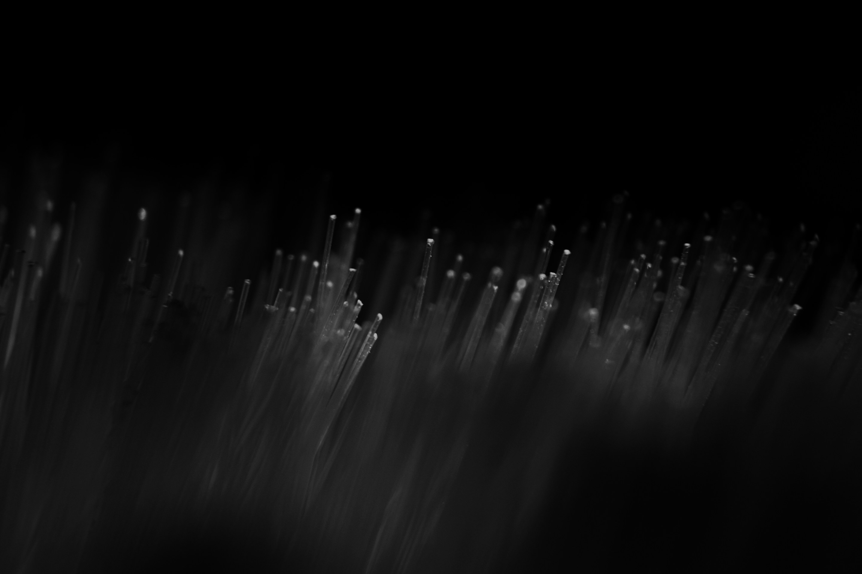 header